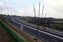 Bypass at Petersfield