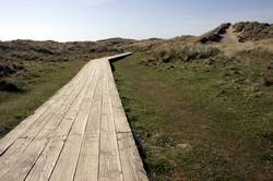 Boardwalk over the dunes