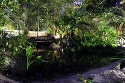 Eden - rainforest biome