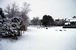 Treheath estate in the snow