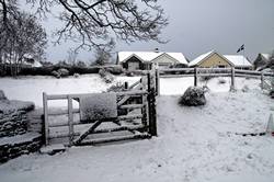 Dobwalls village in the snow