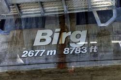 The Birg