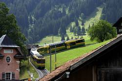 Wengernalpbahn train from Kleine Scheidegg