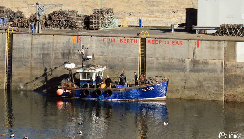 26 March 2017 - Seahouses © Ian Foster / fozimage