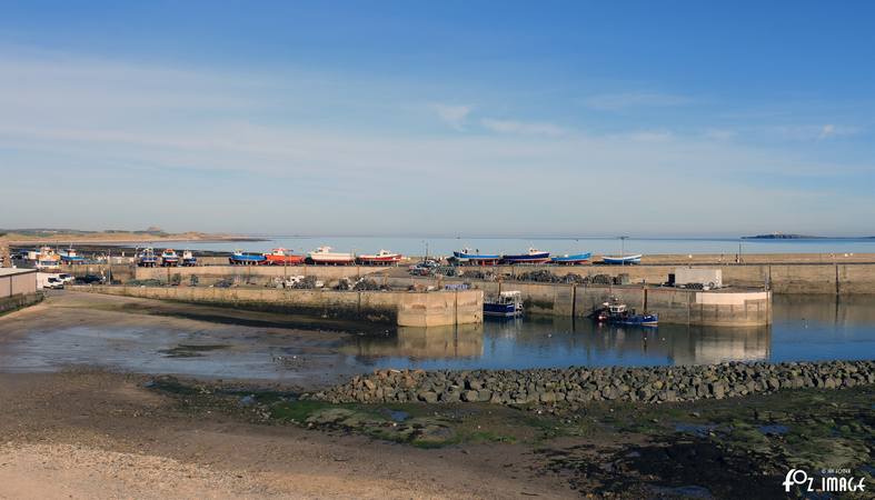 26 March 2017 - Seahouses © Ian Foster / fozimage