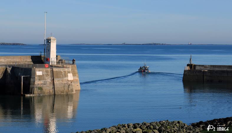 26 March 2017 - Seahouses © Ian Foster / fozimage