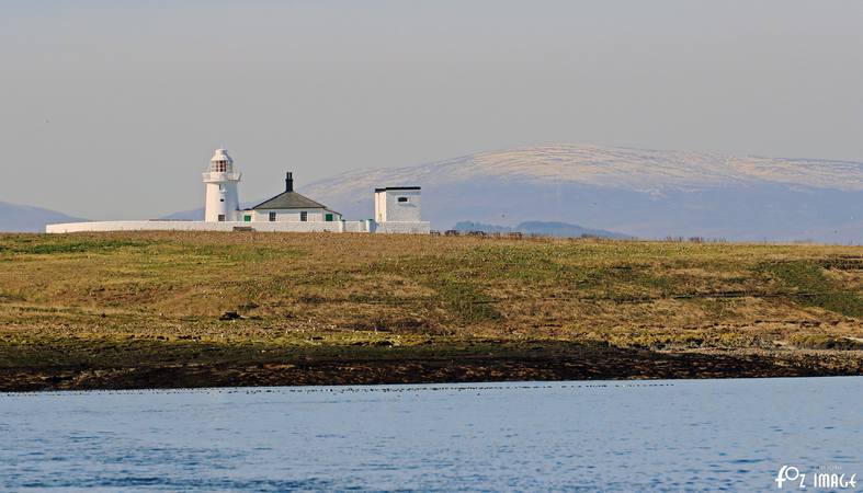 26 March 2017 - Inner farne Lighthouse © Ian Foster / fozimage