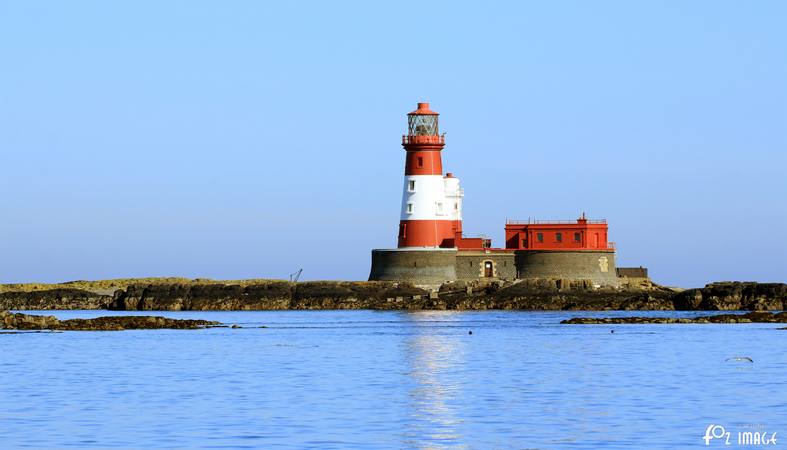 26 March 2017 - Longstone Lighthouse © Ian Foster / fozimage