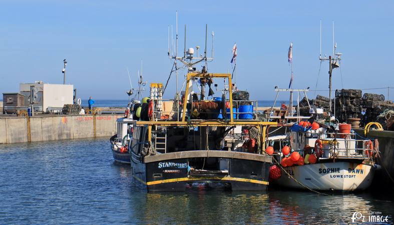 26 March 2017 - Seahouses © Ian Foster / fozimage