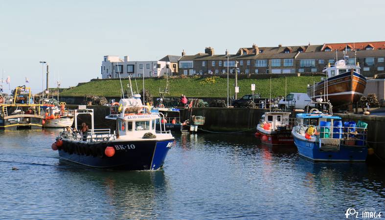 26 March 2017 - Seahouses © Ian Foster / fozimage