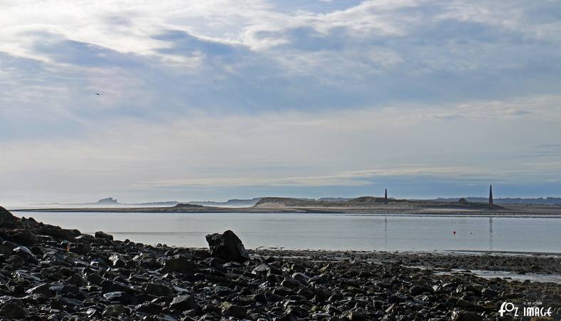 29 March 2017 - Lindisfarne © Ian Foster / fozimage