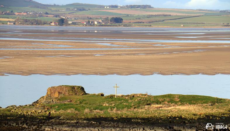 29 March 2017 - Lindisfarne © Ian Foster / fozimage