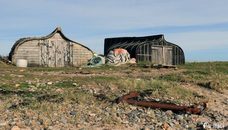 29 March 2017 - Lindisfarne © Ian Foster / fozimage