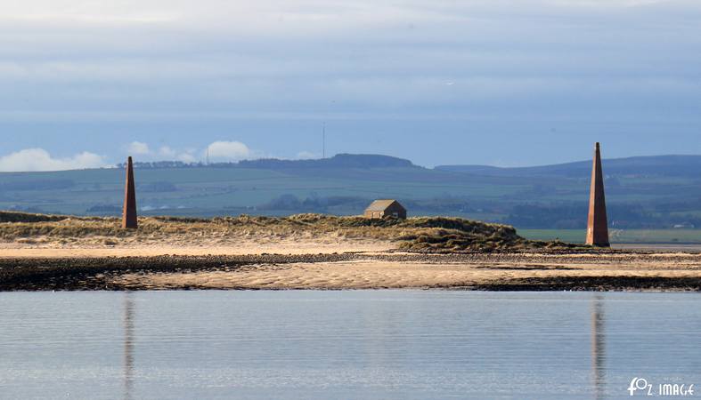 29 March 2017 - Lindisfarne © Ian Foster / fozimage