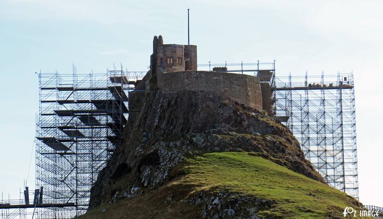 29 March 2017 - Lindisfarne © Ian Foster / fozimage