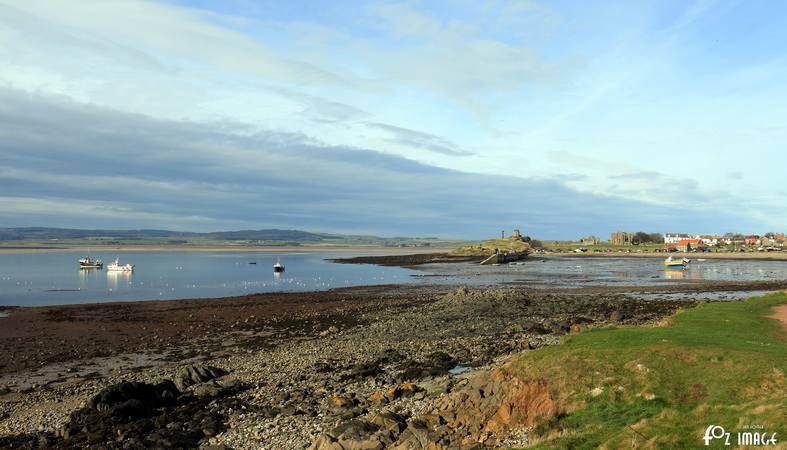 29 March 2017 - Lindisfarne © Ian Foster / fozimage