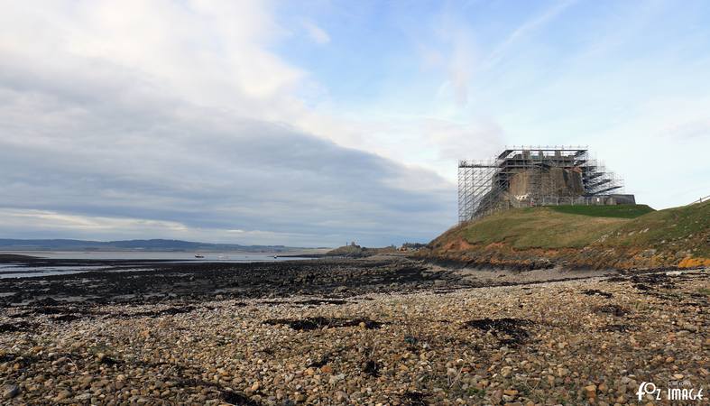 29 March 2017 - Lindisfarne © Ian Foster / fozimage