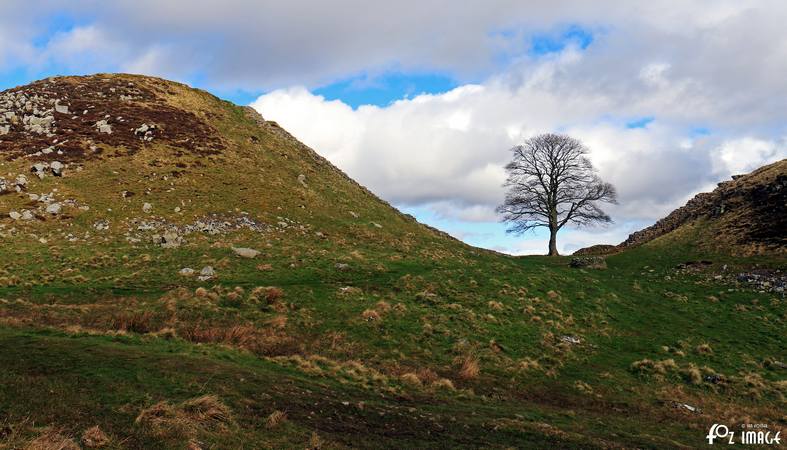 31 March 2017 - Hadrian's Wall Milecastle 39 © Ian Foster / fozimage