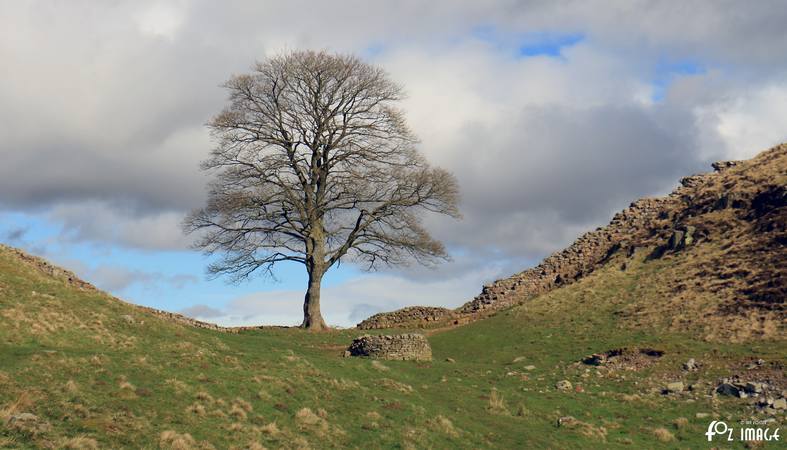 31 March 2017 - Hadrian's Wall Milecastle 39 © Ian Foster / fozimage