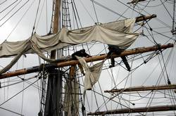 The Kaskelot - Rigging the sails