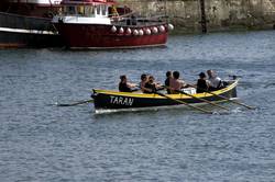 Newlyn Fish Festival - Trafalgar Trophy Gig Race