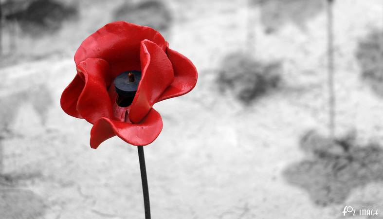 29 September 2017 - Poppies Wave - Plymouth Naval Memorial © Ian Foster / fozimage