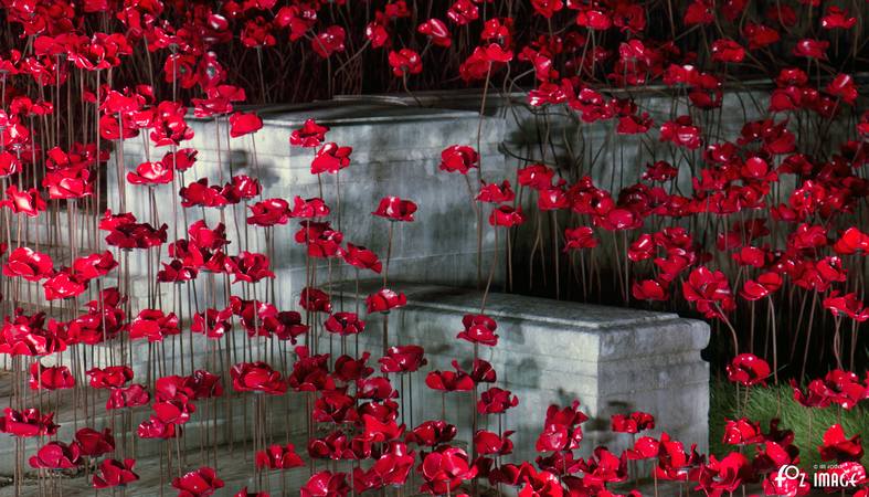 29 September 2017 - Poppies Wave - Plymouth Naval Memorial © Ian Foster / fozimage