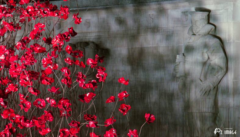 29 September 2017 - Poppies Wave - Plymouth Naval Memorial © Ian Foster / fozimage