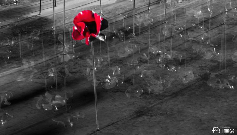 29 September 2017 - Poppies Wave - Plymouth Naval Memorial © Ian Foster / fozimage