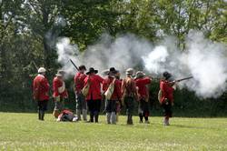 Roundhead muskets