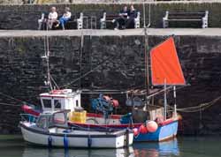 Polperro - outer harbour